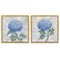Stupell Industries Blue Hydrangea Garden Blooms 2pc Floating Frame Set By Paul Brent